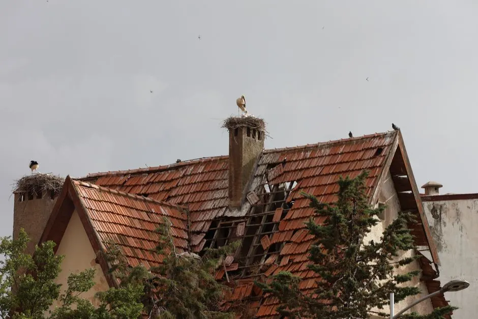 Services