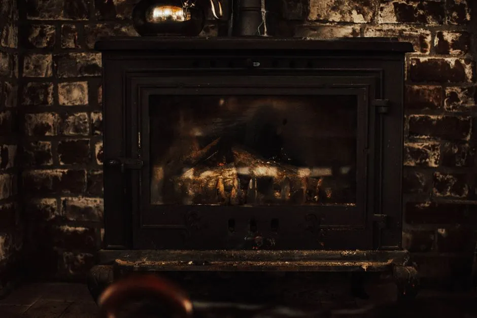 True Revive Tech — your local Chimney repair team